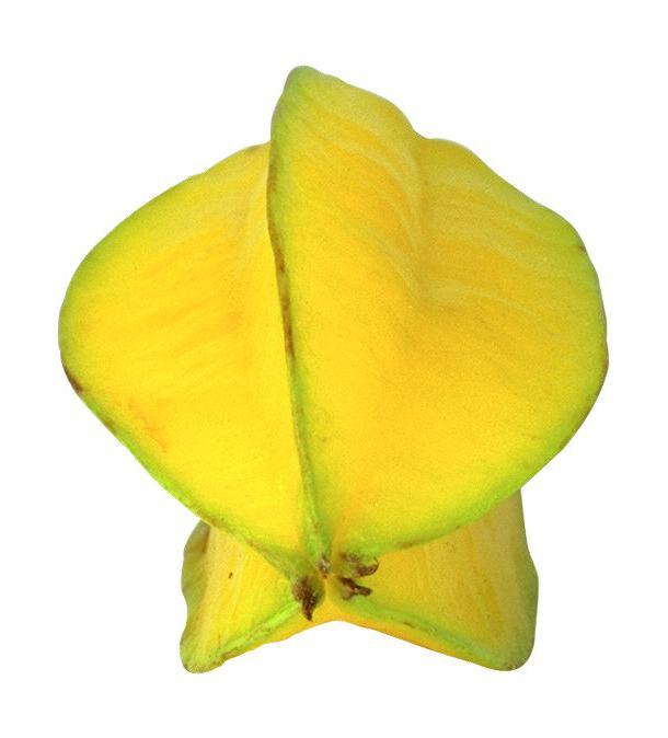 Karambola