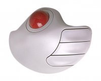 Myszka komputerowa Wingo